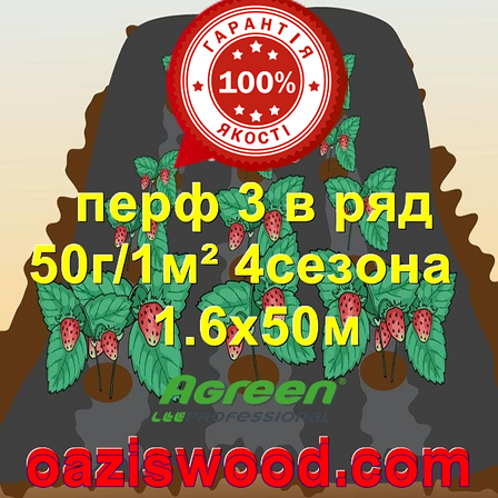 Агроволокно з перфорацією 3 в ряд p-50g 1.6*50м чорне AGREEN 4сезона Італійське якість, фото 1