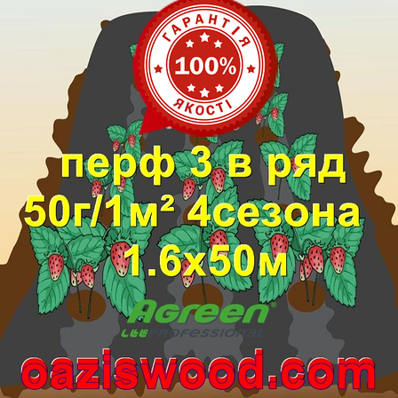 Агроволокно з перфорацією 3 в ряд p-50g 1.6*50м чорне AGREEN 4сезона Італійське якість, фото 2