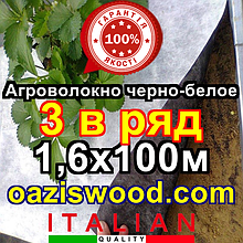 Агроволокно p-50g отвору 3 в ряд 1.6*100м чорно-біле Agreen італійське якість з перфорацією