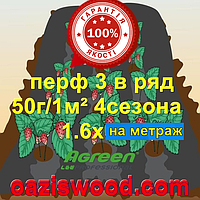 Агроволокно с перфорацией 3 в ряд p-50g 1.6 на метраж черное AGREEN 4сезона Итальянское качество