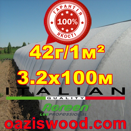 Агроволокно р-42g 3,2*100м AGREEN 4сезона біле Італійське якість, фото 1