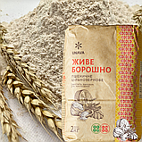 Борошно пшеничне цільнозернове (вагове), мішок 25 кг, фото 3