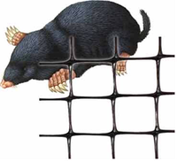 Сітка газона від кротів 1*50м Україна чорна