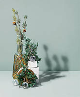 Makesy Аромамасло Juniper fir & balsam spruce / Можжевеловая пихта + бальзамическая ель, 10 грамм (для свечей)