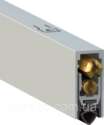 Поріг алюмінієвий з гумовою вставкою Comaglio 1703 ACU (93-83 см), фото 1