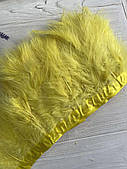 Пір'яна  тасьма з лебедя  2 метри , жовте