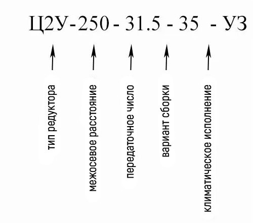 Купить двухступенчатый горизонтальный редуктор Ц2У-250 в Украине