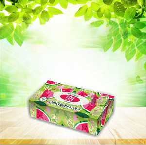 ТМ "Господар" Серветки гігієнічні (2 шари) у коробці 100шт 48шт./ящ. УІ18-100, фото 1