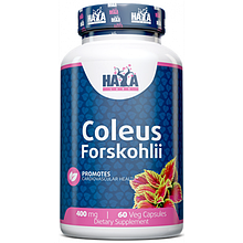 HAYA LABS Coleus Forskohlii 400 mg 60 vcaps