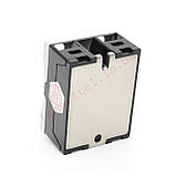 Твердотільне реле BERM SSR-60 DA, фото 4