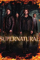 Сверхъестественное Supernatural- плакат