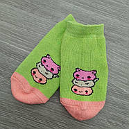 Шкарпетки дитячі середні зимові з махрою р.12 (1-2 роки) собачки асорті ЕКО 30032375, фото 4