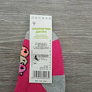 Шкарпетки дитячі середні зимові з махрою р.12 (1-2 роки) собачки асорті ЕКО 30032375, фото 6