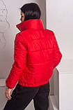 Куртка жіноча коротка дута демісезонна — 008 червоний колір1, фото 3