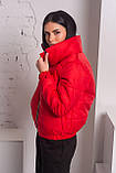Куртка жіноча коротка дута демісезонна — 008 червоний колір1, фото 2