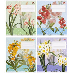 Зошит учнівський "Делікатні квіти" в клітку, 24 листи, 100% білизна