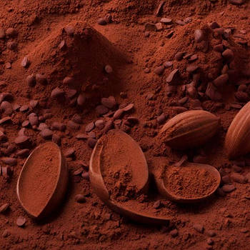 Какао порошок (4)