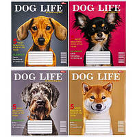 Зошит учнівський "Життя собак" в клітку, 24 листи, 100% білизна
