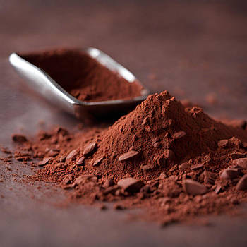 Какао порошок алкалізований для промислового використання  (тільки опт) Ціна вказана на 1 кг = Фасування мішок по 25 кг