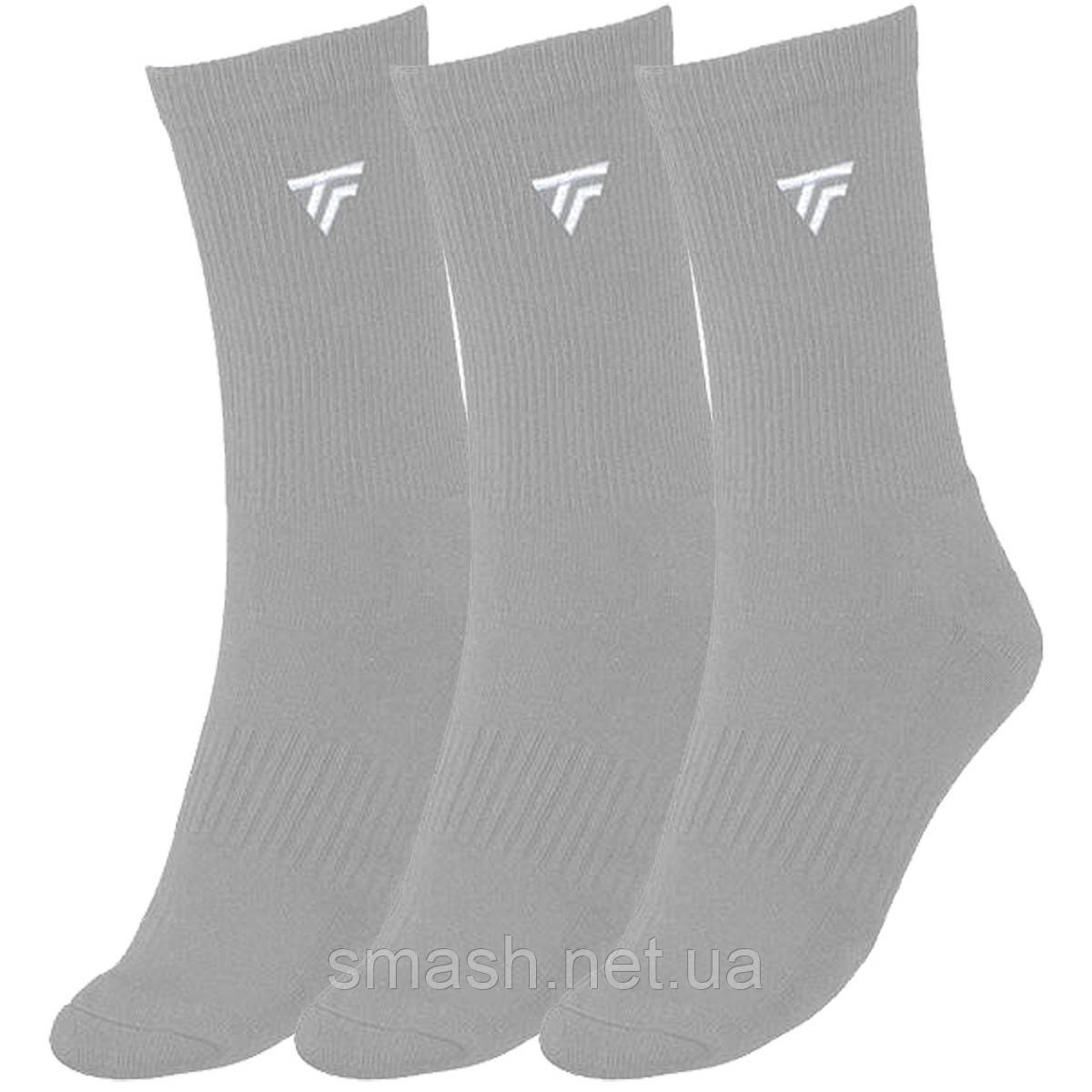 Шкарпетки Tecnifibre men's 3-Pack Silver Socks