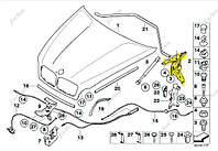 Петля капота левая BMW X5 E70 (2010-2013) рестайл, 41007198617