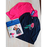 Кофти лонгсліви реглани (набір) Lupilu на дівчинку, р.86-92 - 12-24 місяців, пташка, фото 2