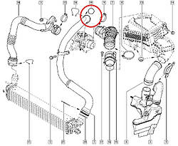 Ущільнювальне кільце патрубка інтеркулера та турбіни Renault Laguna III — 2,0 Dci (M9R) 7701065055