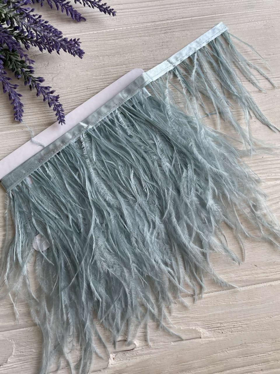 Пір'яна  тасьма СТРАУС  2 метри , світлий тіффані