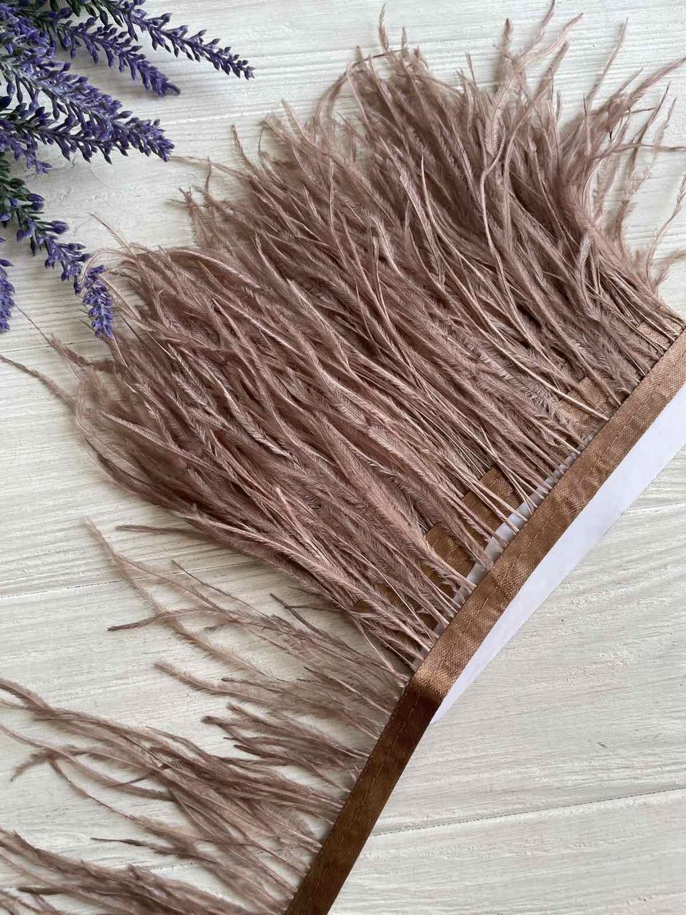 Пір'яна тасьма СТРАУС 2 метри , кава з молоком