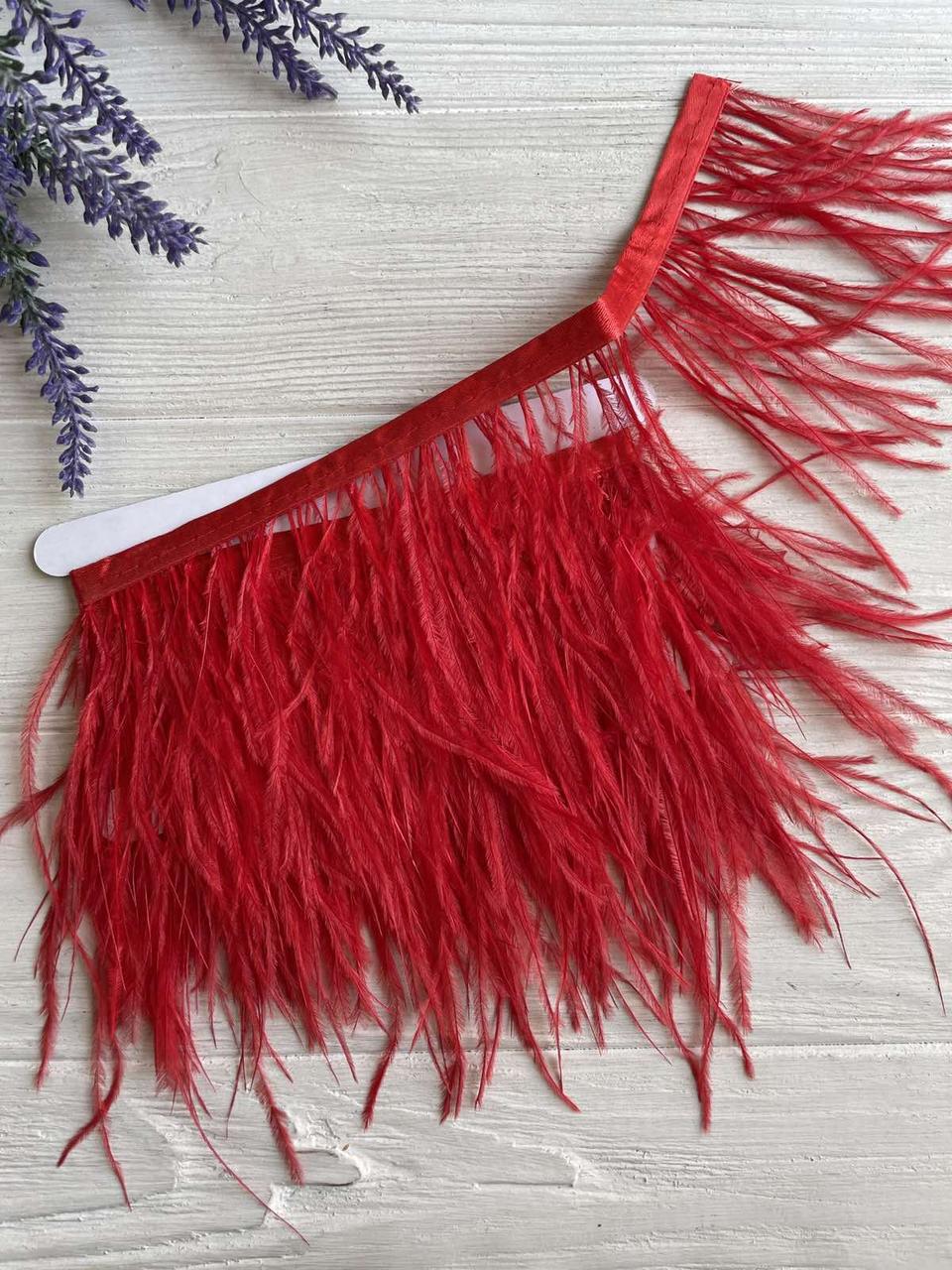 Пір'яна тасьма СТРАУС 2 метри , червона, фото 1