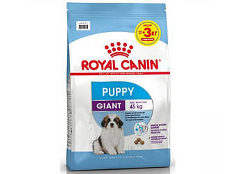 Акція! Корм для цуценят Royal Canin Giant Puppy (Роял Канін Джайнт Паппі) 12кг+3кг у подарунок! + ДОСТАВКА