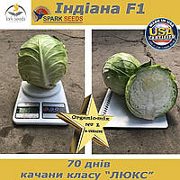 Капуста середньорання ІНДІАНА F1 / INDIANA F1 (2500 насінин) ТМ Spark Seeds (США)
