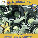 Капуста середньорання ІНДІАНА F1 / INDIANA F1 (2500 насінин) ТМ Spark Seeds (США), фото 3