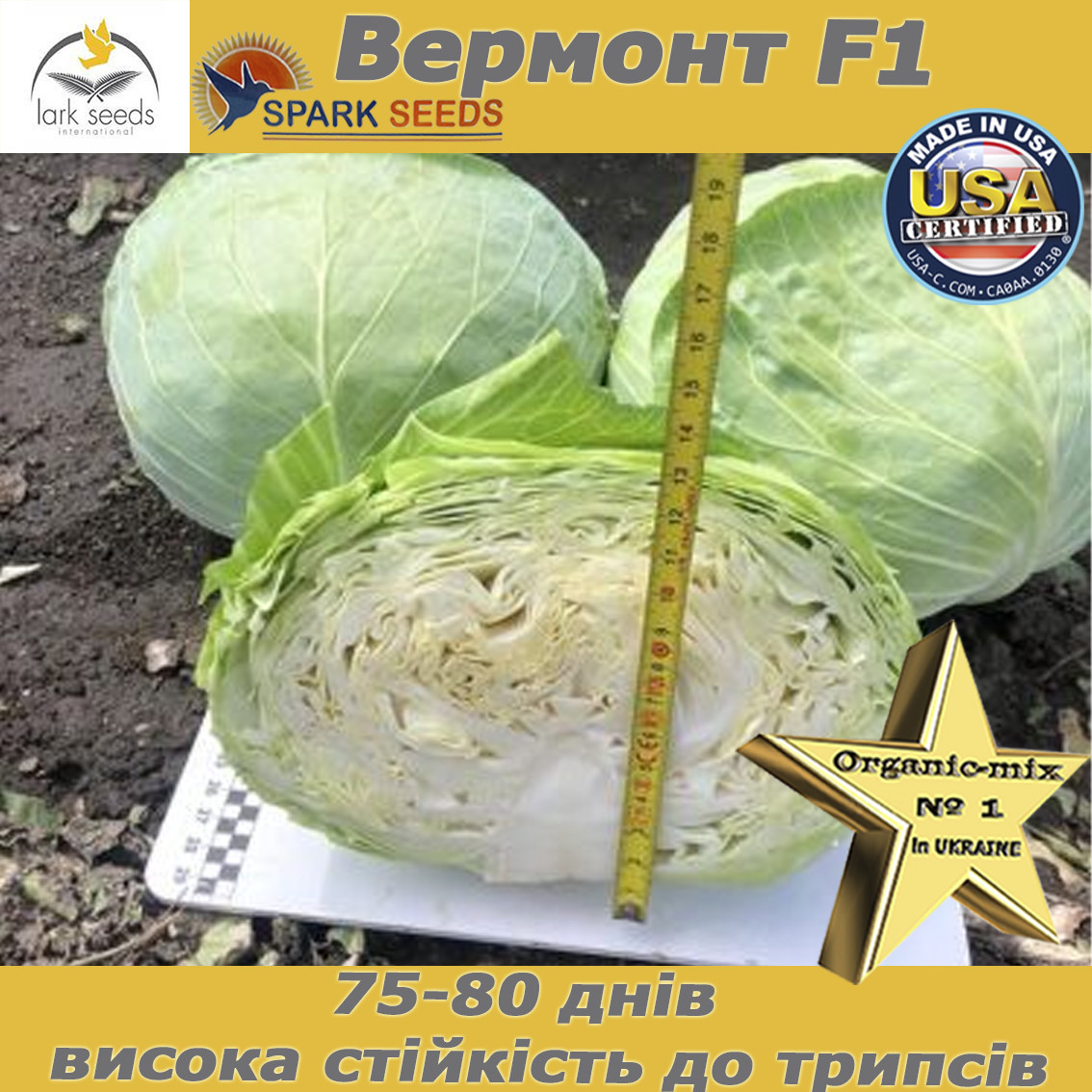 Капуста середньорання Вермонт f1 / Vermont f1 (2500 насінин) ТМ Spark Seeds (США)