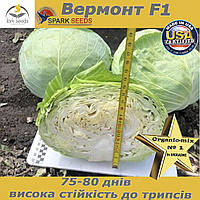 Капуста середньорання Вермонт f1 / Vermont f1 (2500 насінин) ТМ Spark Seeds (США)