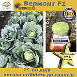 Капуста середньорання Вермонт f1 / Vermont f1 (2500 насінин) ТМ Spark Seeds (США), фото 2