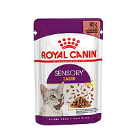 Royal Canin Sensory Taste Gravy 85 г влажный корм для котов (167436-22) KH