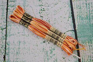 Муліне DMC art.117 колір №51 меланж