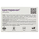 Цисторенал, рослинний комплекс сприяє підтримці нирок та сечових шляхів, в капсулах 30 шт., фото 2