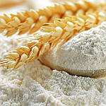 Переваги мікропроцесорних індикаторів та регуляторів у зернопереробній галузі