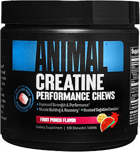 ТЕРМІН 3-25 Universal Nutrition Creatine Chews 120 жавок фрукт