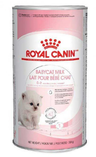 Royal Canin Babycat milk 0,3 кг-замінник молока для кошенят