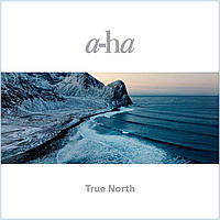 Вінілова платівка A-Ha: TrueNorth -Hq/Gatefold /2LP