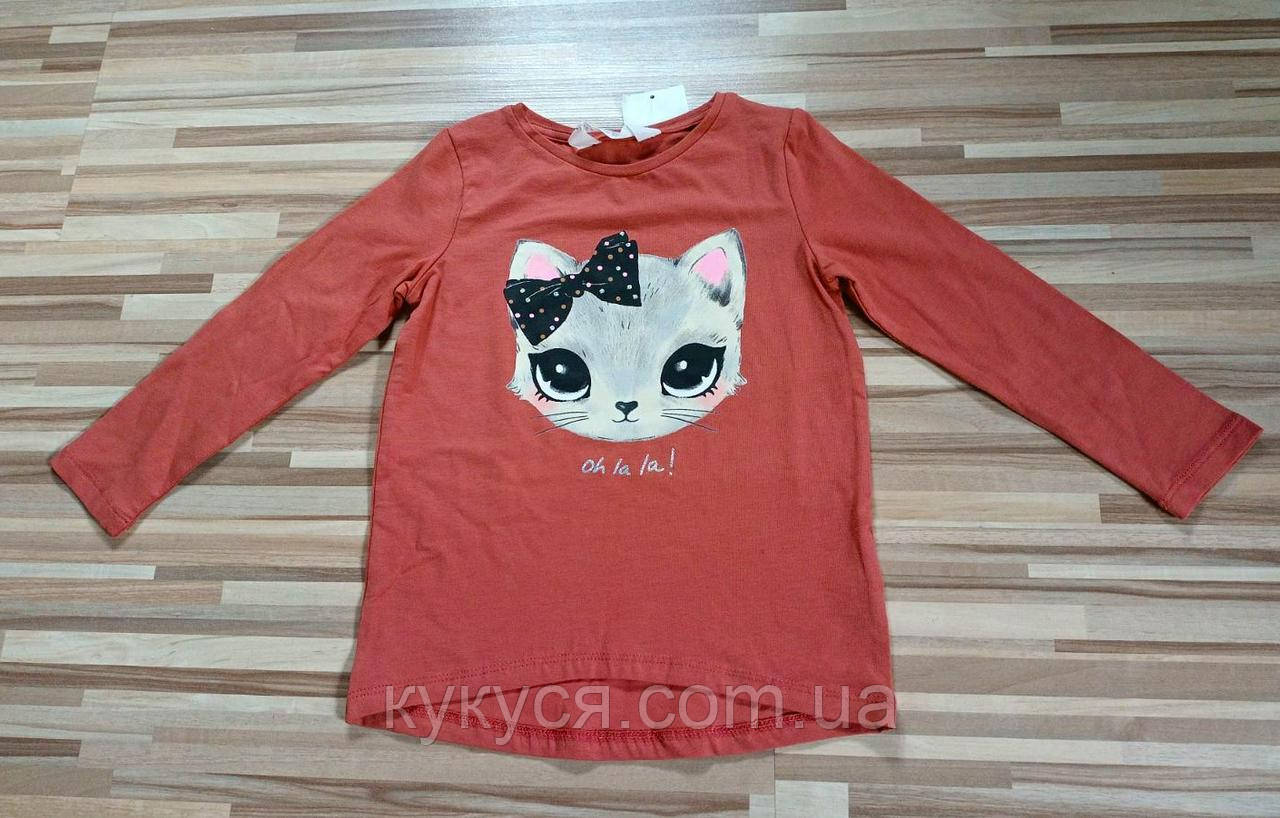 Реглан для дівчинки, фото 1