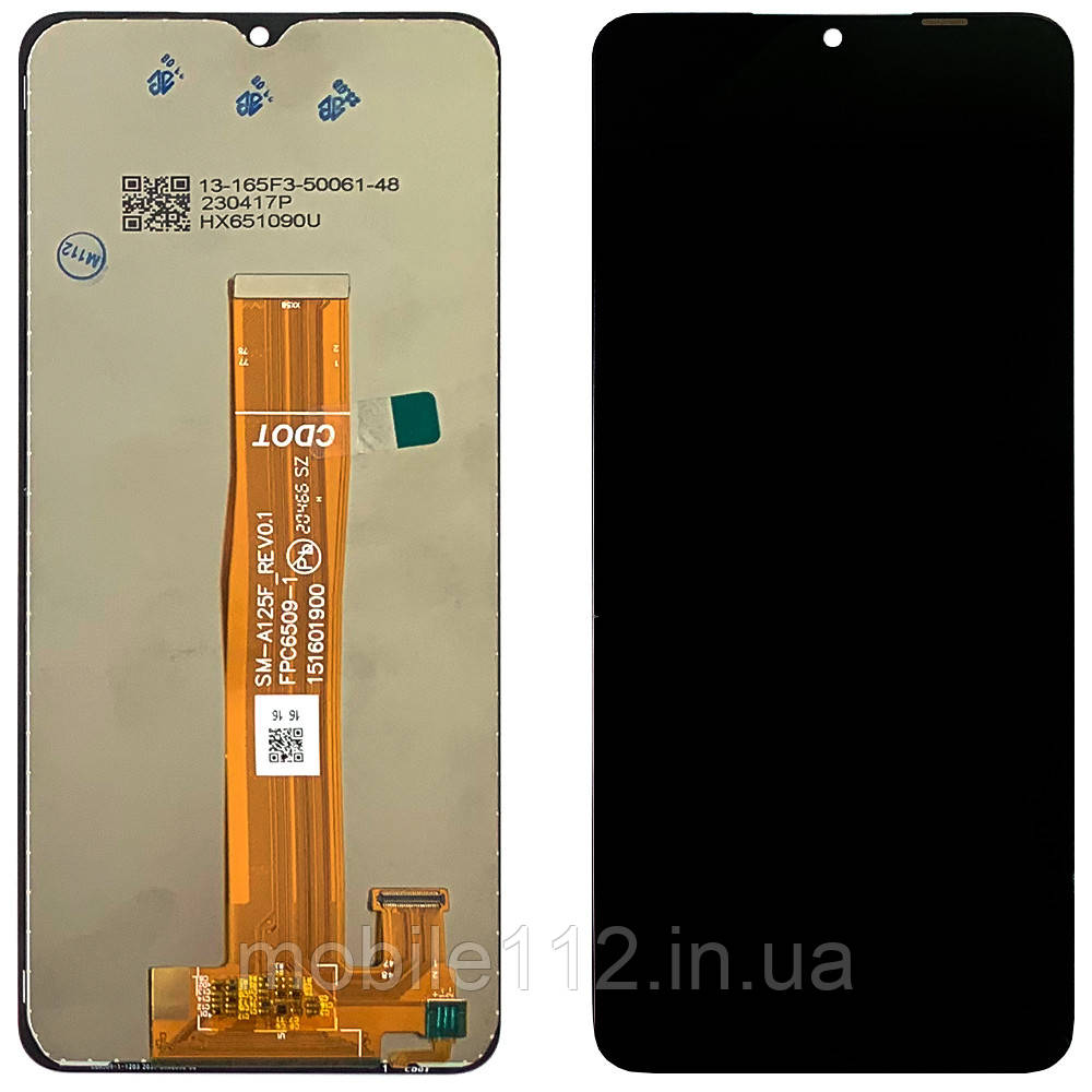 Екран (дисплей) Samsung Galaxy A02 A022F, M12 M127F, A12 A125F, A12s A127F з тачскріном SM-A125F_REV0.1
