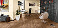 Quick-Step UF861 Perspective Дошка дуба antique ламінат, фото 6