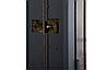 Двері вхідні вуличні з терморозривом модель Olimpia Glass комплектація Bionica 2 ABWEHR (LP3), фото 5