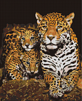 Алмазная мозаика Ночные леопарды 40x50 Картины стразами на подрамнике Мозаика камнями Brushme DBS1085