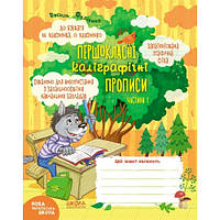 Першокласні каліграфічні прописи до Букваря 48 ст.210х165 мм М.Вашуленка.Ч.1 В.Федієнко (у)Ш