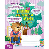 Першокласні каліграфічні прописи до Букваря 48 ст.210х165 мм М.Пристінської Ч.1 В.Федієнко (у)Ш